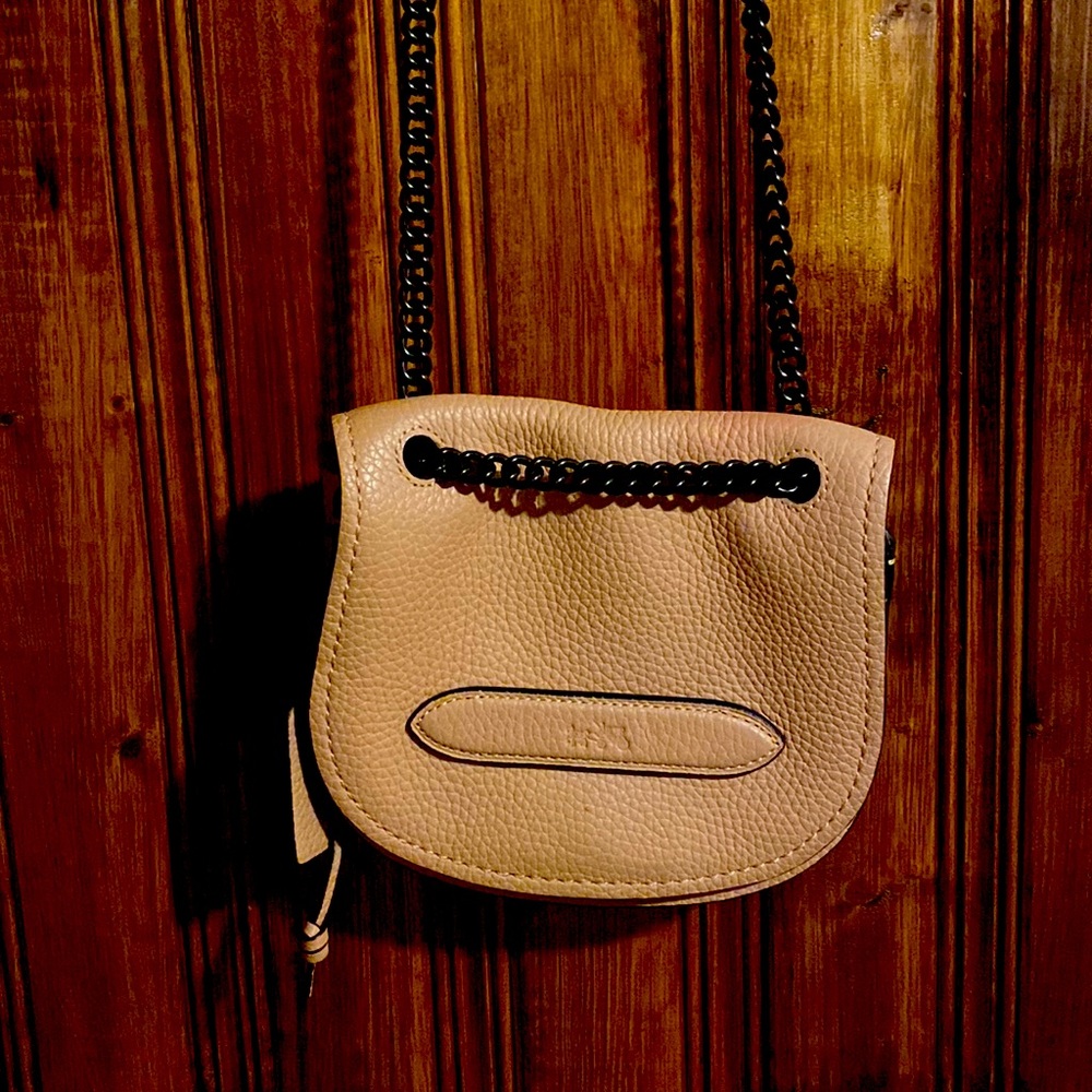Sexy sleek petite chained Coach purse